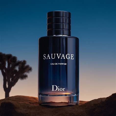 dior savuage eau de toilette 2.0|Dior sauvage perfume.